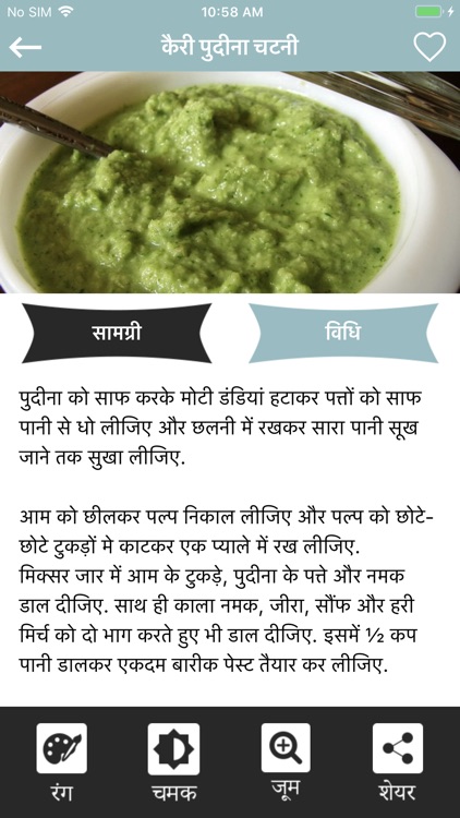 Chutney Recipes Hindi screenshot-3