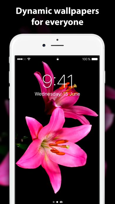 Live Wallpaper ∘ for Me screenshot 4