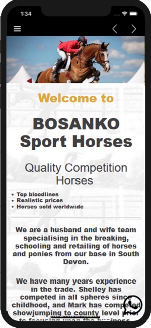 Bosanko Sports Horses