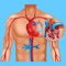 Our app for anyone who wants to learn or test and refresh your knowledge about circulatory system anatomy, functions and disorders