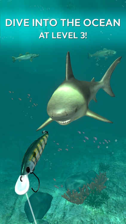 Rapala Fishing - Daily Catch screenshot-0
