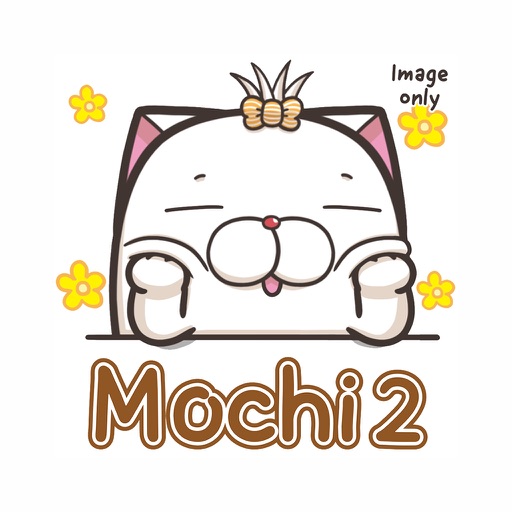 French Bulldog Mochi 2 (Image)