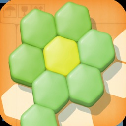 Block Puzzle Hexagon 3D