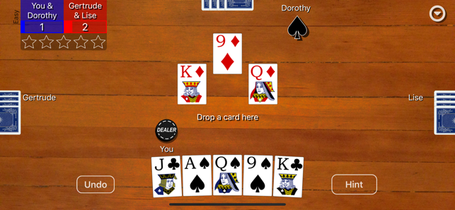 Euchre Card Classic(圖1)-速報App