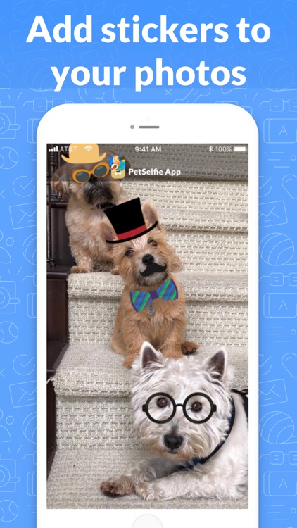 PetSelfie- DogCam and CatCam