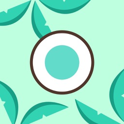 Fitness Plan by Coconut