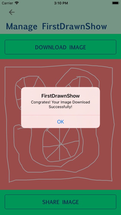 FirstDrawnShow screenshot-5