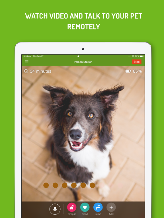 Dog Monitor screenshot