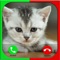 Talking Cat Calling by click on fake call button and make fun with your friends