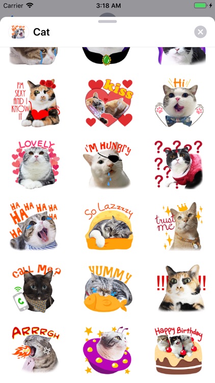 World's Cutest Cat Sticker Emo