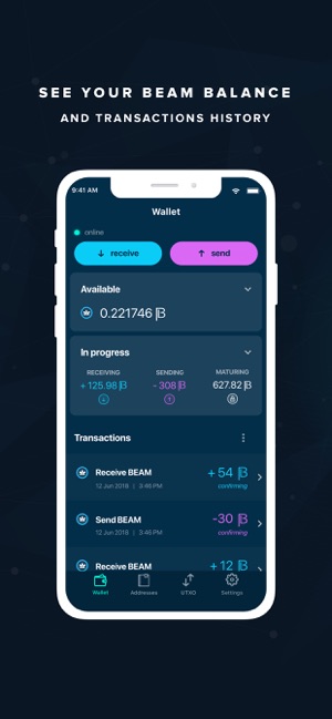 Beam Privacy Wallet