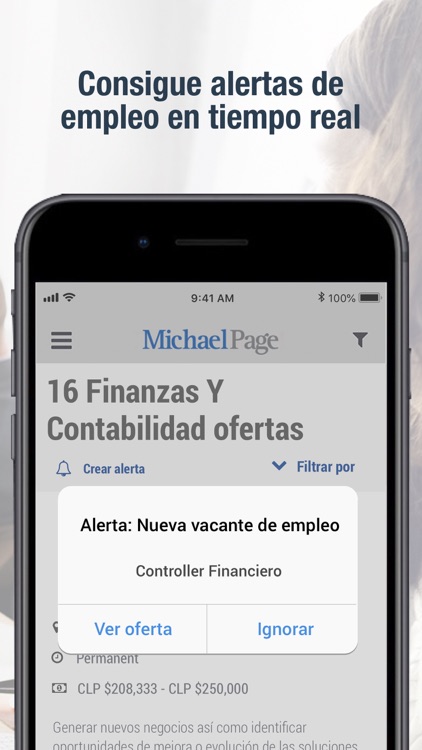 Michael Page Chile screenshot-4