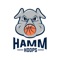 The Hamm Hoops app will provide everything needed for team and college coaches, media, players, parents and fans throughout an event