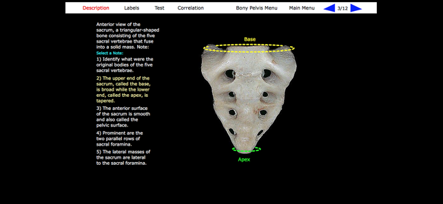 Human Skeleton: Gross Anatomy(圖7)-速報App