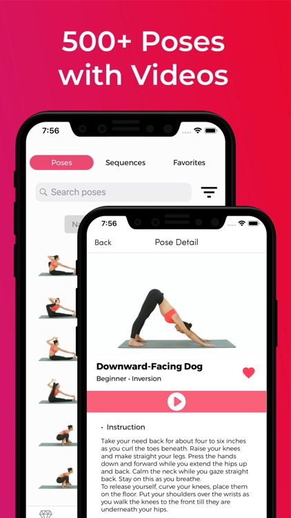 Lotus - Yoga for Beginners screenshot-3