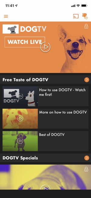 DOGTV(圖2)-速報App