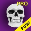 Icon Halloween Countdown Pro Push