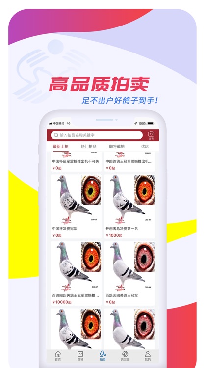 职业赛鸽网 screenshot-6