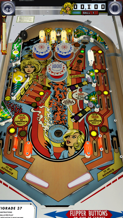 Screenshot from Pinball Arcade