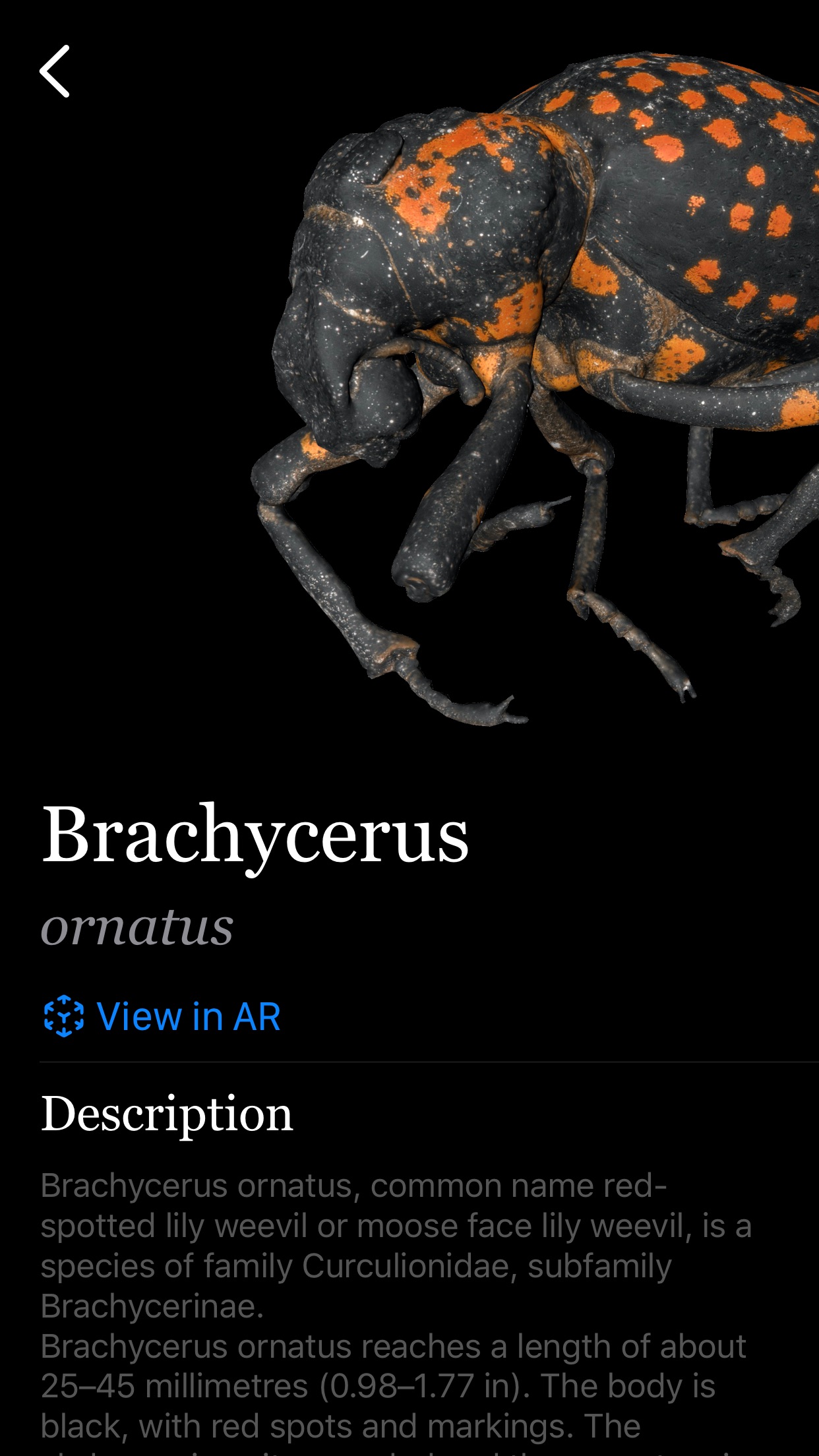 Screenshot do app Insecta: