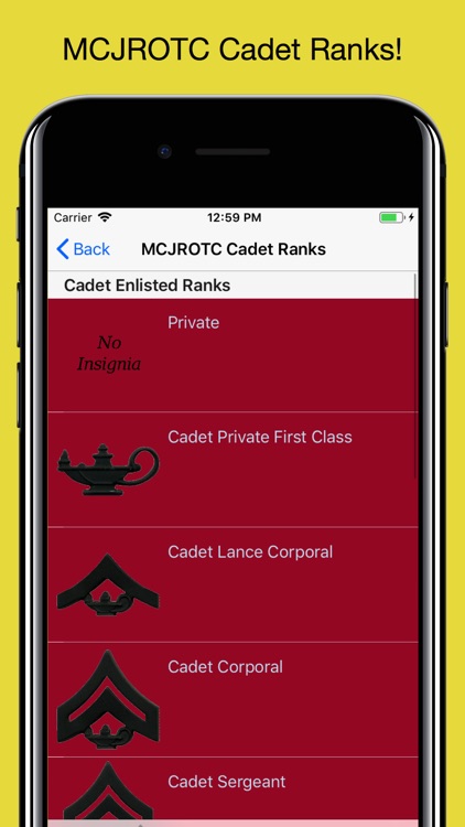 MCJROTC Guidon screenshot-3