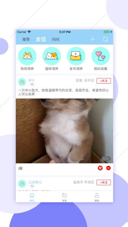 萌哒-猫狗领养给萌宠一个家