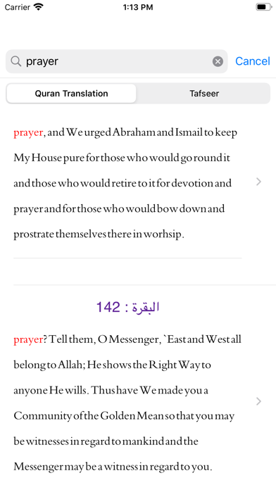 Tafheem ul Quran - in English screenshot 3