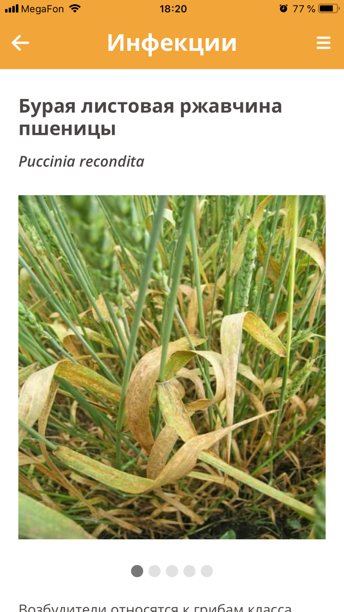 Защита растений Август РБ