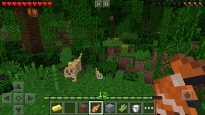 Minecraft – Pocket Edition Screenshot 1