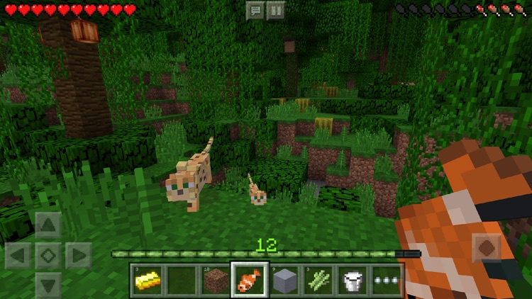 Minecraft screenshot-0