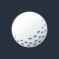 Golf Plus : Swing Analyzer pour PC