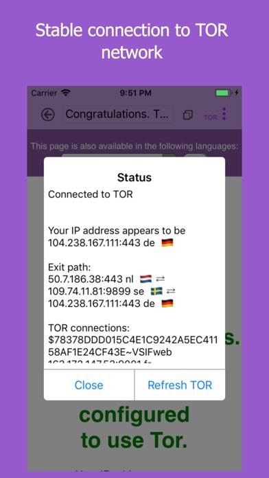 what browser does tor use hydraruzxpnew4af