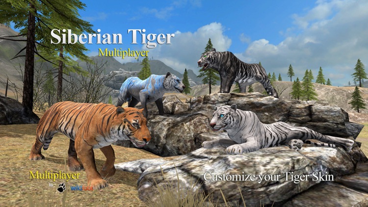 Tiger Multiplayer - Siberia