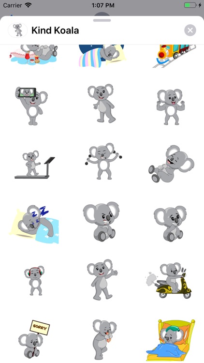 Kind Koala