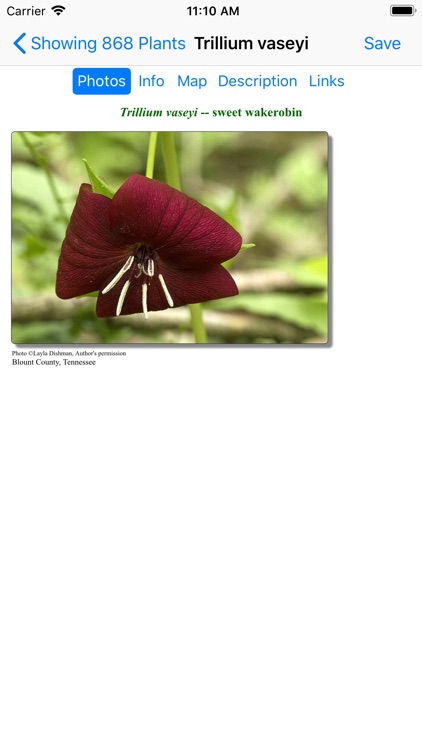 Smoky Mountains Wildflowers screenshot-4