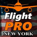 Pro Flight Simulator New York