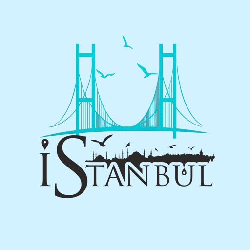 İstanbul Ulaşım