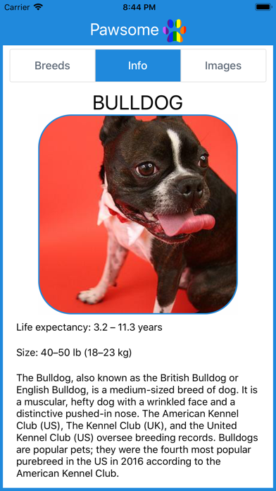 Pawesome dog breeds and images screenshot 3