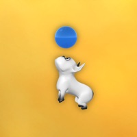 Zoomies! pour PC