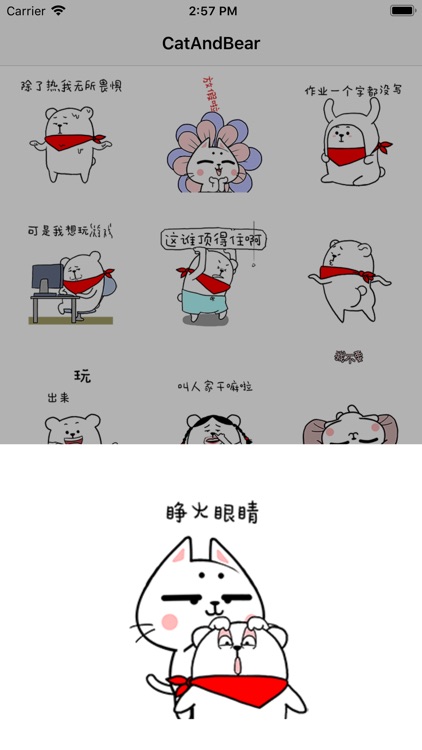 CatAndBear