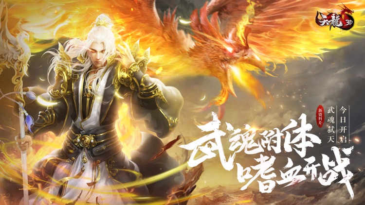 天龙3D-武魂弑天 screenshot-0