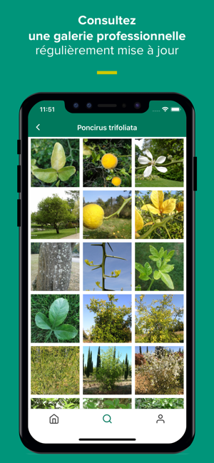 Floriscope(圖4)-速報App