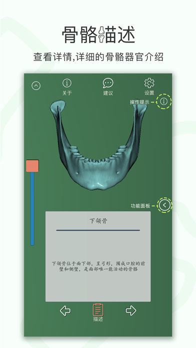 人体骨骼-3D screenshot 2