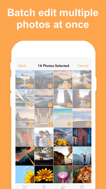Exif Metadata screenshot-5