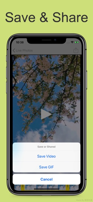 Livephoto to GIF & Video(圖4)-速報App
