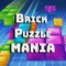 This is a fun and classic block game