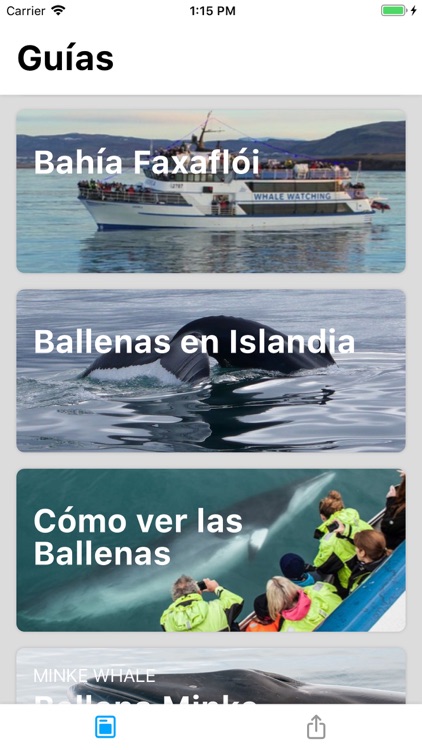 Audioguía - Ballenas Islandia