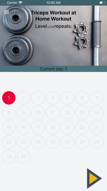 Best Triceps Workout at Home