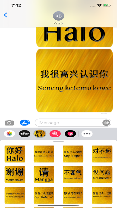 Chinese Javanese screenshot 4