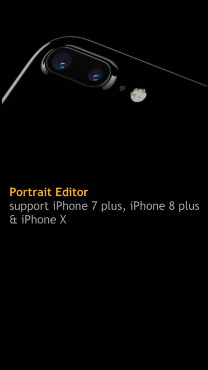 Portrait Editor